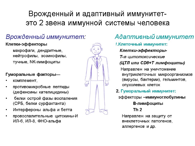 Врожденный и адаптивный иммунитет-  это 2 звена иммунной системы человека Врожденный иммунитет: Клетки-эффекторы